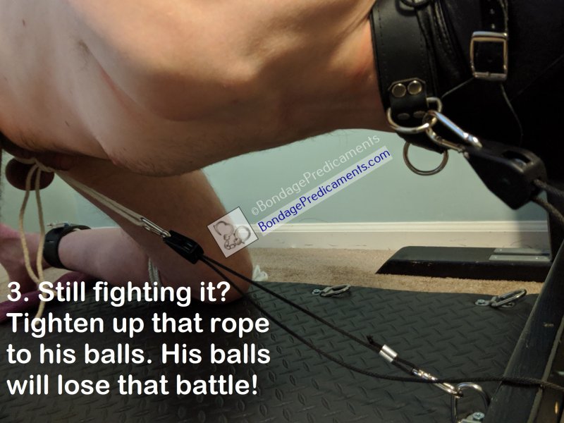 Harsh Bondage Predicament