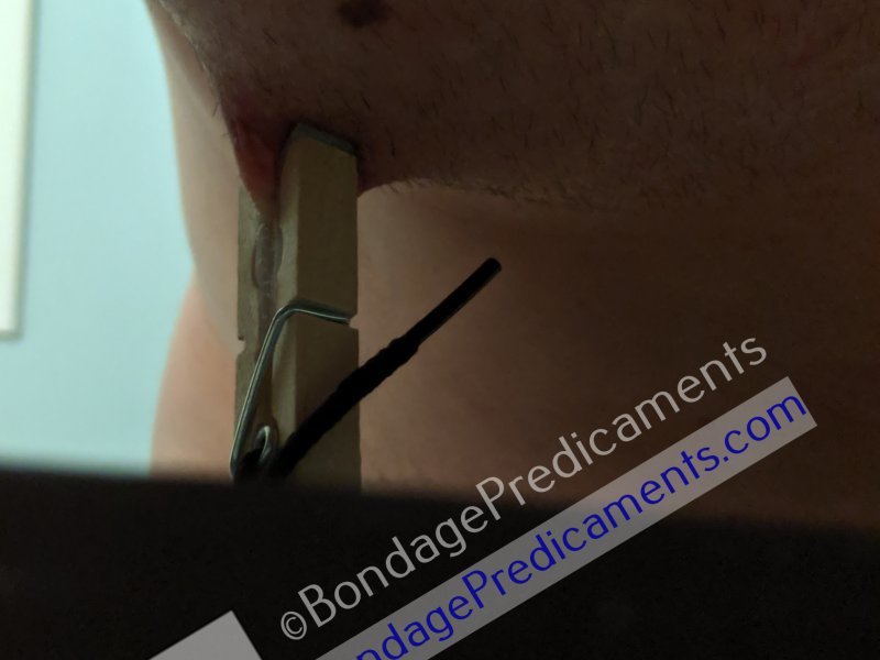 Velcro Nipple Clamps