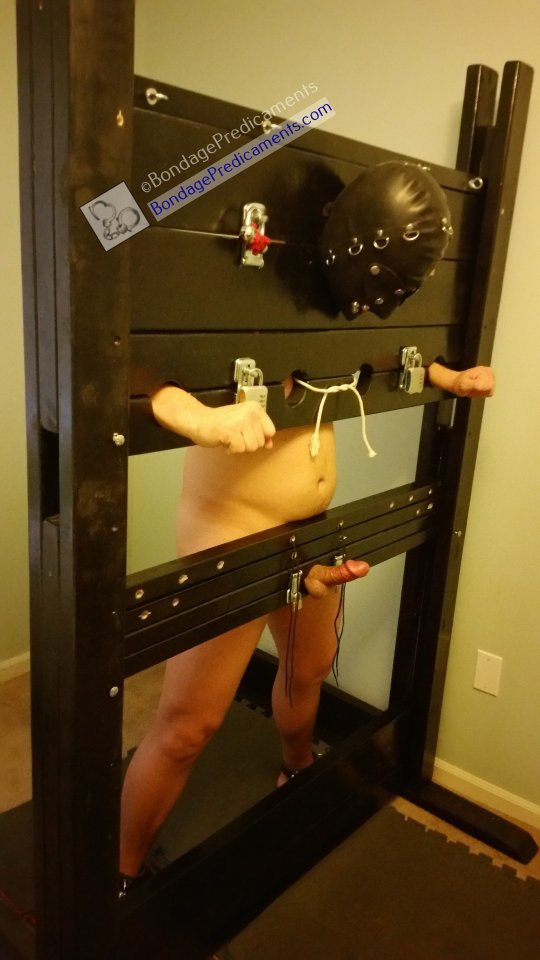 Locked in Standing Stocks